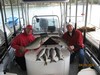 (04/20/2018) - Nice Striped Bass